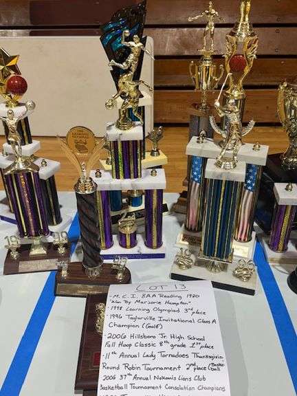 1920 MCI 8 AA Reading won by Marjorie Hampton, 1998 3rd Place Learning Olympiad, 1996 1st Place Taylorville Class A Golf Invitational, 2006 1st Place 8th Grade Hillsboro Junior High Fall Hoop Classic, No Date 2nd Place 11th Annual Lady Tornadoes Thanksgiving Basketball Tournament, 2006 Consolation Championship 37th Annual Nokomis Lions Basketball Tournament, 1989 2nd Place Jerseyville High School Varsity Wrestling Tournament