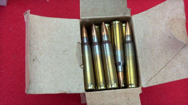 American Shooting Lot 5.56, 22 Short, 20 Ga Rifled Slugs