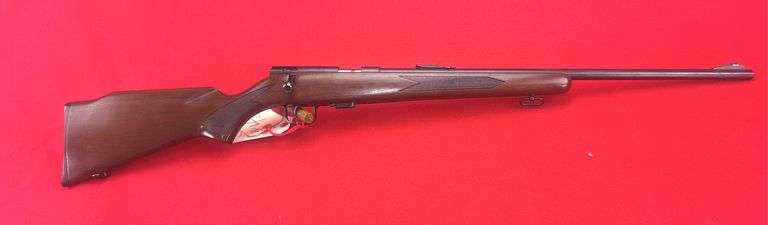 Winchester Model 320  .22 S, L, LR