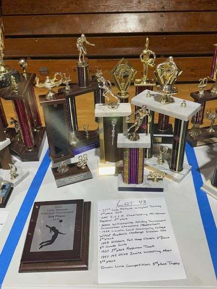 2018 3rd Place 32nd Lady Mohawk Volleyball Tourney, 2001 1st Place ICCA Cheerleading Mt Vernon Regional, 2000 Consolation Champs Williamsville Holiday Tournament, 1999 1st Place Division 700 LLCC WYSE Academic Challenge, 1995 2nd Place 8th Grade Girls Hillsboro Fall Hoop Classic, 1967 1st Place Freshman Track, 1997 3rd Place Mt Olive Invite Wrestling Meet, No Date 3rd Place Drumline Competition