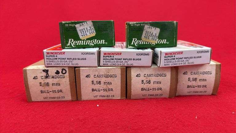 American Shooting Lot 5.56, 22 Short, 20 Ga Rifled Slugs