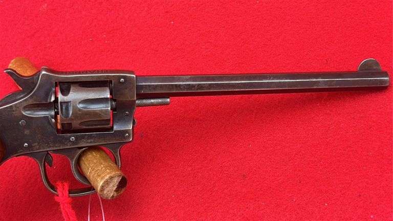H & R Trapper . 22