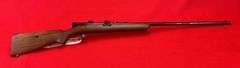 Winchester Model 74 22 L