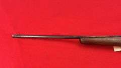 Remington Model 514  .22 S, L, LR Caliber
