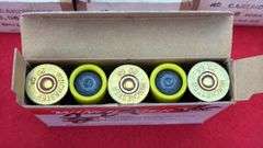 American Shooting Lot 5.56, 22 Short, 20 Ga Rifled Slugs