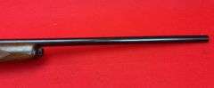 Winchester Model 50 20 GA Shotgun