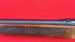 Winchester Model 255  .22 Magnum Caliber