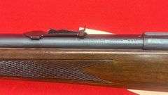 Winchester Model 320  .22 S, L, LR