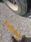 (TITLE) 1988 International S 2300 Tandem Grain Truck, 466 Diesel Engine, Air Brakes, Straight 7 Speed Transmission, 8’ Wide, 10’2” Tall, 26’ Long, Empty Weight Estimated 19,000-20,000#, 11R22.5 Tires (Good), Twin Screw, Spring Suspension ,Clutch And Front End Work Less Than 500 Miles Ago, 18’ Metal Grain Bed W/ Steel Floor (Nice), 64” Steel Sides, Single Post Hoist, Rust Free Frame And Cross Members,  Been Shedded Several Years, Great Tandem Truck, Miles Unknown’s