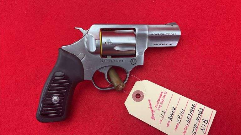 Ruger SP101 .357 Magnum