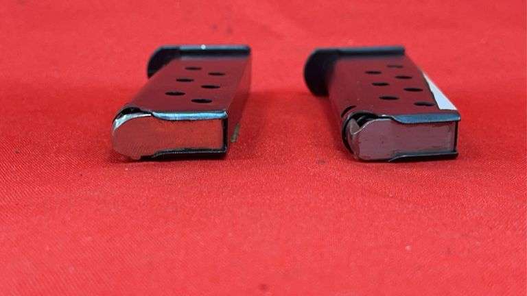 (2) Walther PPK 380 Magazines