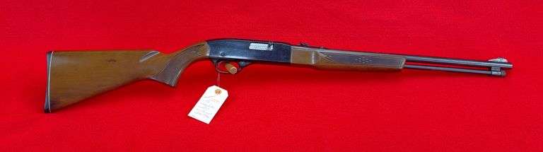 Winchester 290 22 L Or LR