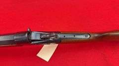 Numerich Arms "Buffalo Gun"