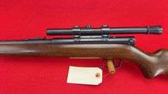 Winchester 74 22 LR