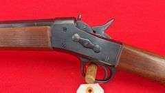 Numerich Arms "Buffalo Gun"