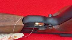 Browning Buckmark Silhouette 22 LR