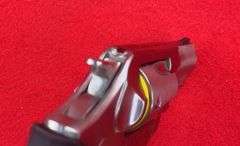 Ruger SP101 .357 Magnum