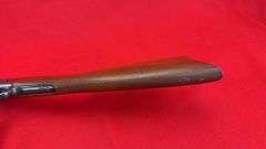 Numerich Arms "Buffalo Gun"