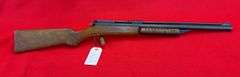 Benjamin Franklin 22 Cal Air Rifle