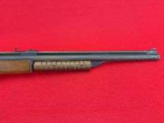 Benjamin Franklin 22 Cal Air Rifle