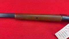 Numerich Arms "Buffalo Gun"