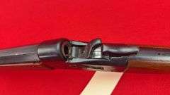 Numerich Arms "Buffalo Gun"