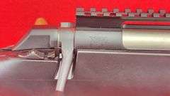 Winchester XPR 350 Legend Only