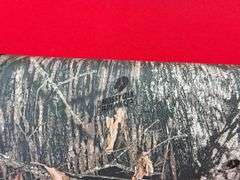 Mossberg 702 Plinkster 22 LR Only