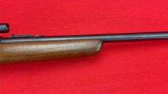 Winchester 74 22 LR