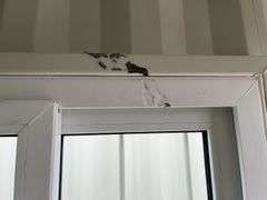 MMS 10’-3’’ container, measures 10’-1” long x 7’-3 1/2” wide x 8’-3” tall, swinging rear doors, Side walk door, sliding window, keyed lock on walk door, wood floor, container CTTN 0002089, Small Paint Scratches, Window Damage