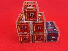 (300) Rds   .17 HMR Ammo  17gr