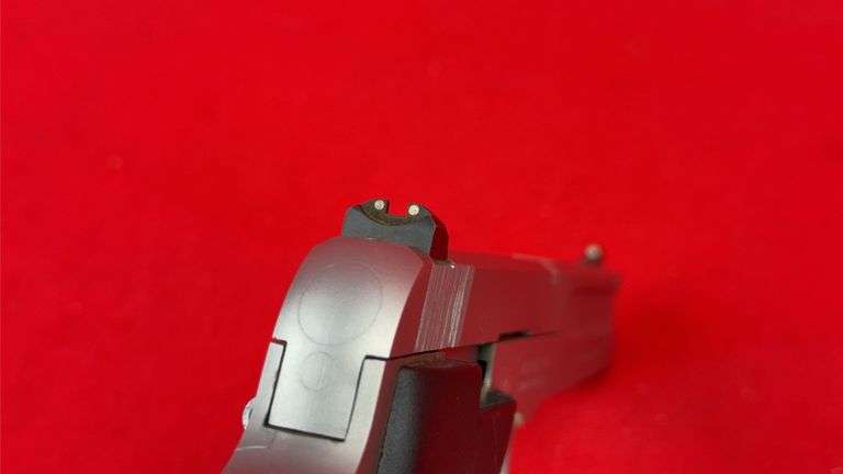 Smith & Wesson Model 2206 .22LR