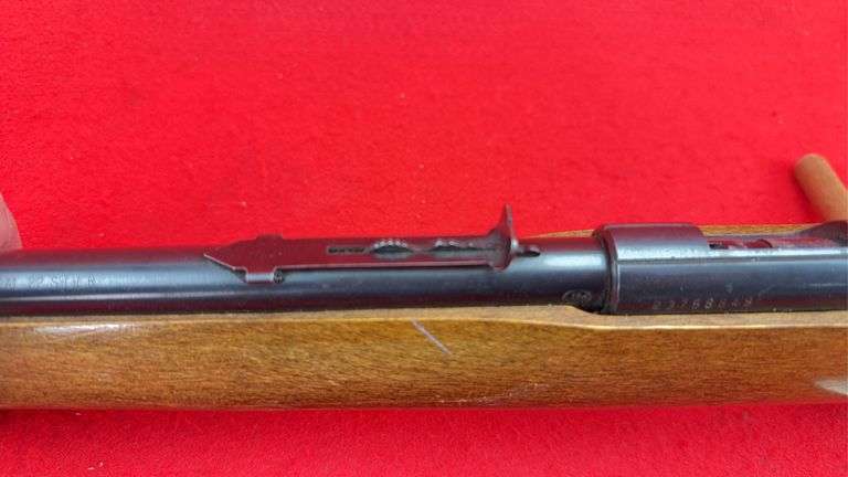 Glenfield Model 25 .22 S, L,R