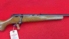 Glenfield Model 25 .22 S, L,R