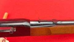 Winchester 190 22 S,L,LR