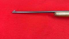 Glenfield Model 25 .22 S, L,R