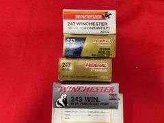 200+- Rds Reload And Factory 243 Win Ammo And Brass