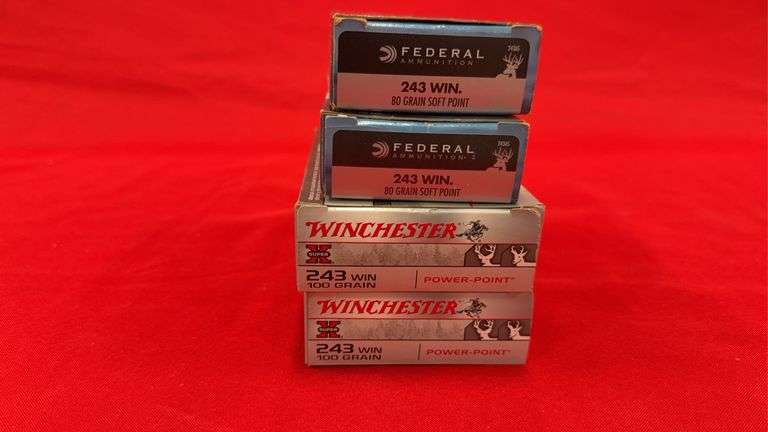 (67+-) Rds 243 Win Ammo