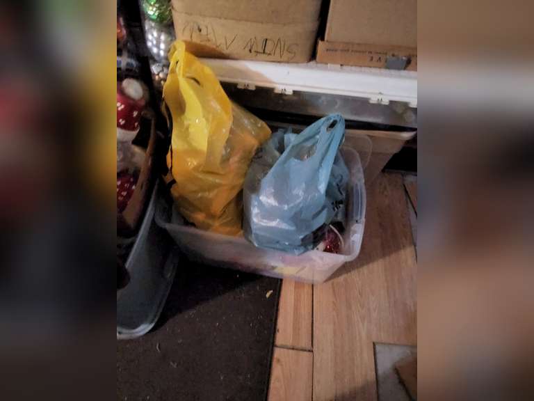 10 boxes of Christmas decor