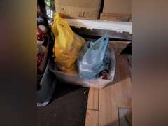10 boxes of Christmas decor
