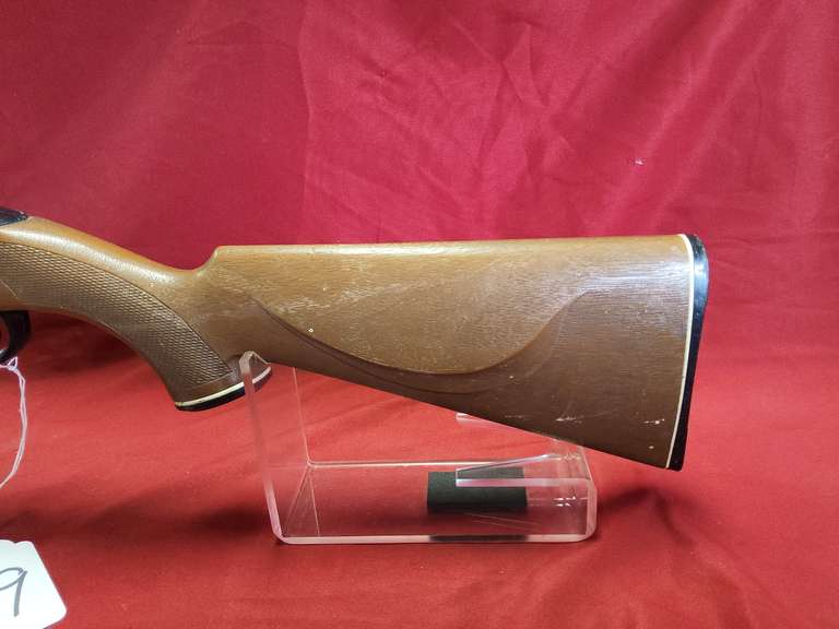 Daisy Mod: Powerline 850 .177 cal pellet or bb gun