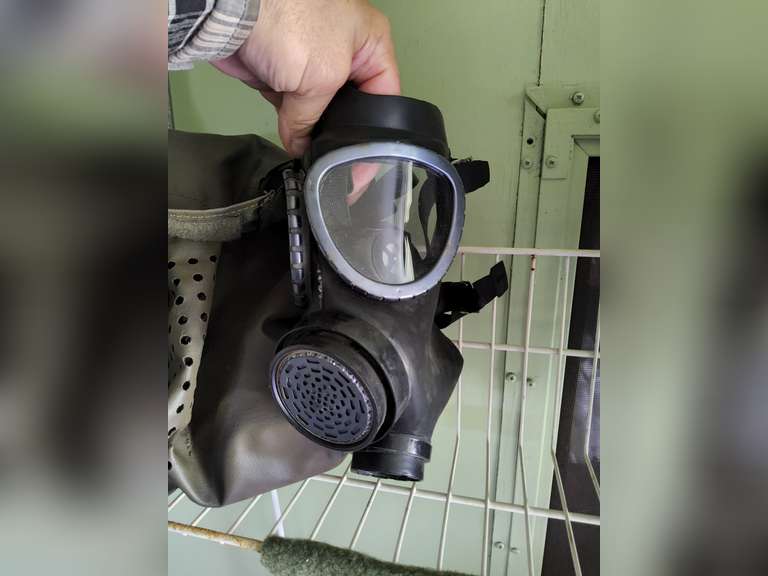 Bulgarian Zebra 1991 PG1 Mask