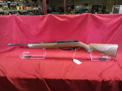 Daisy Mod: Powerline 850 .177 cal pellet or bb gun