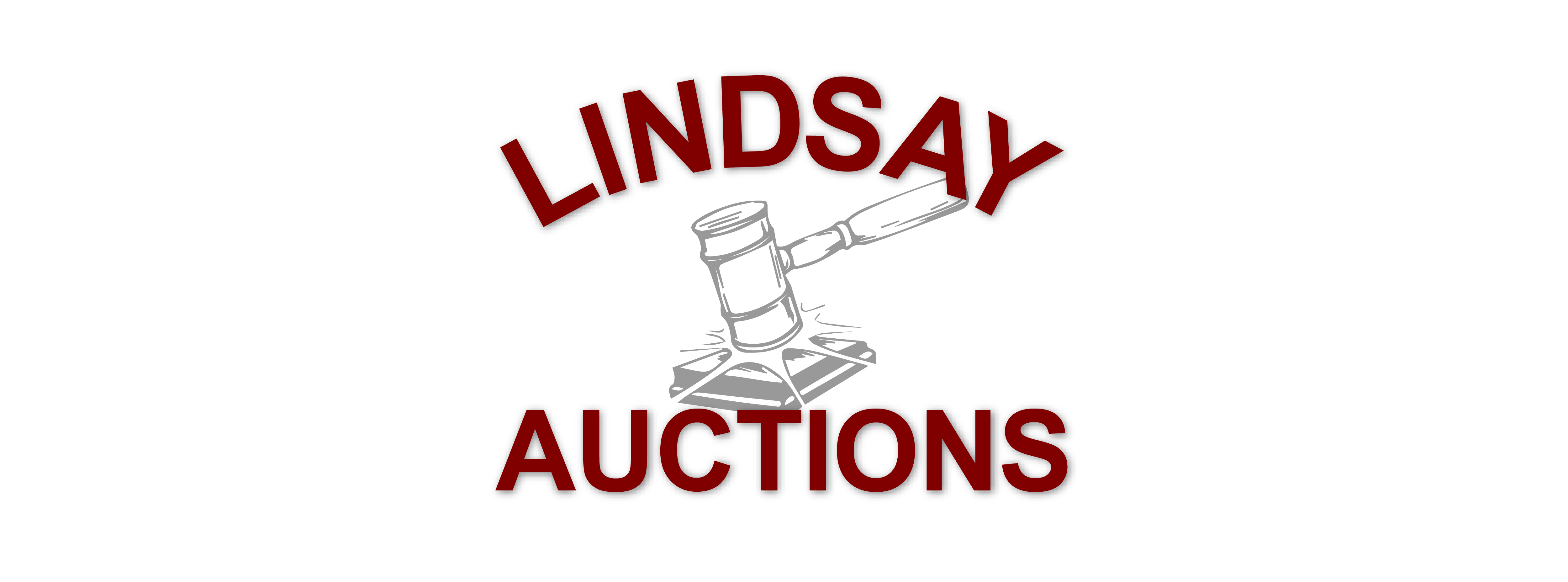 Website Logo
