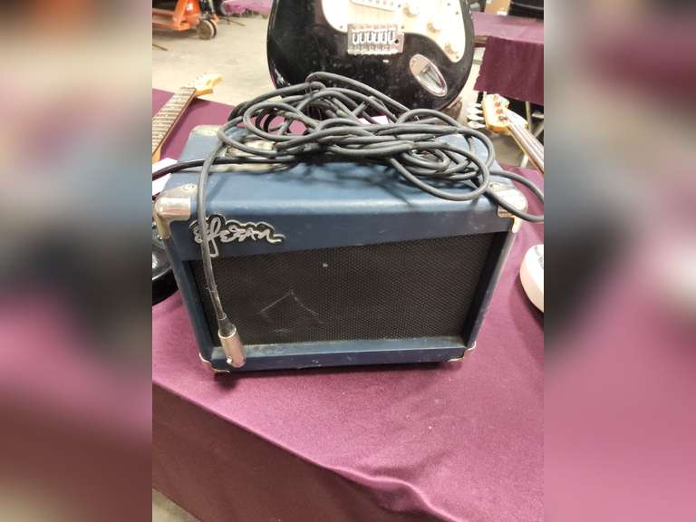 Esteban Mod: G10 guitar amp