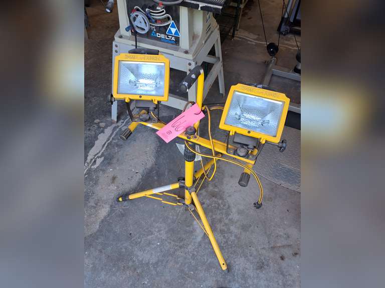 Dual head work light