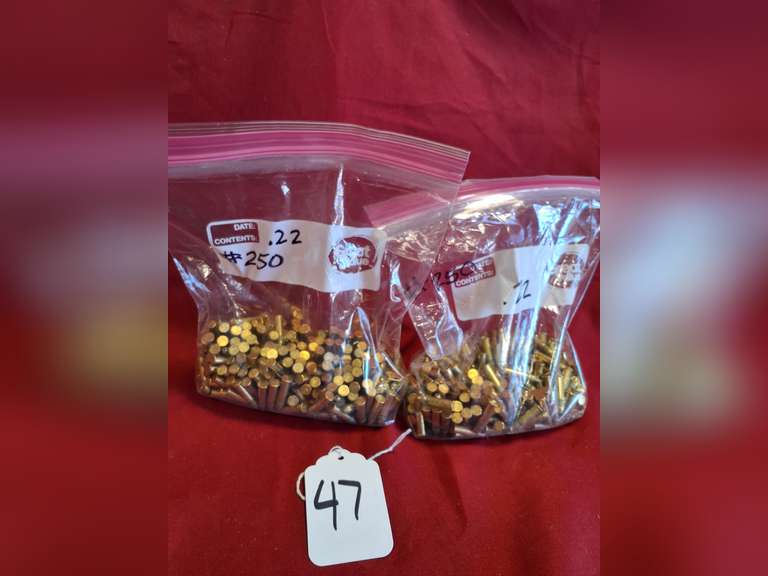 2 bags -- 500rds 22LR
