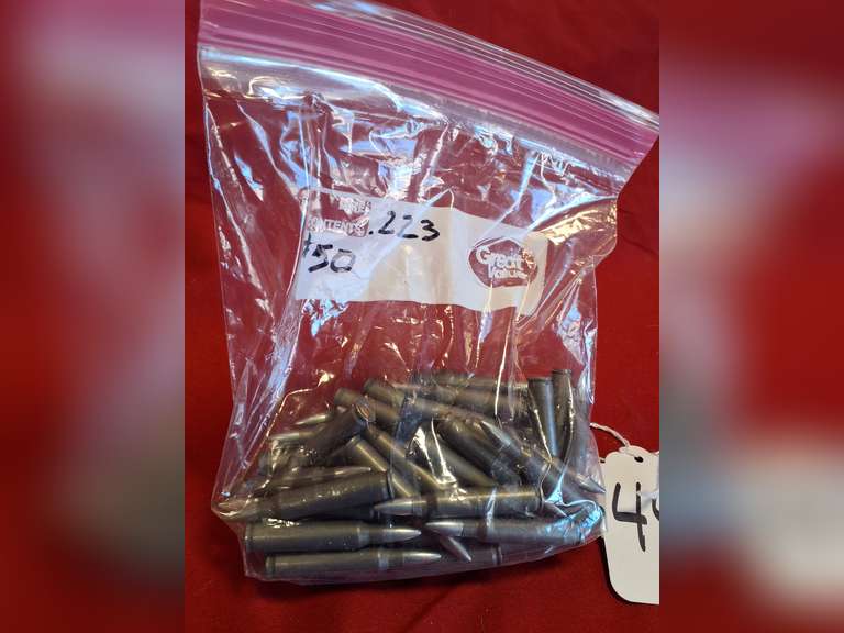 1 bag -- 50rds 223