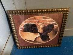 Lot of Various Wall Decor - Framed Prints and Mirror