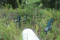 All unlotted scrap on property, to be removed within 30 days by buyer.